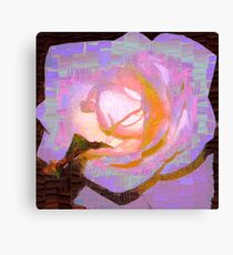 Square rose Canvas Print