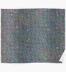Animal Collective - Merriweather Post Pavilion (155MP Cover) Poster