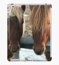 Isländisch Pferde iPad-Hülle & Klebefolie