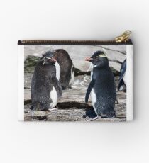 Love those Whiskers! Studio Pouch