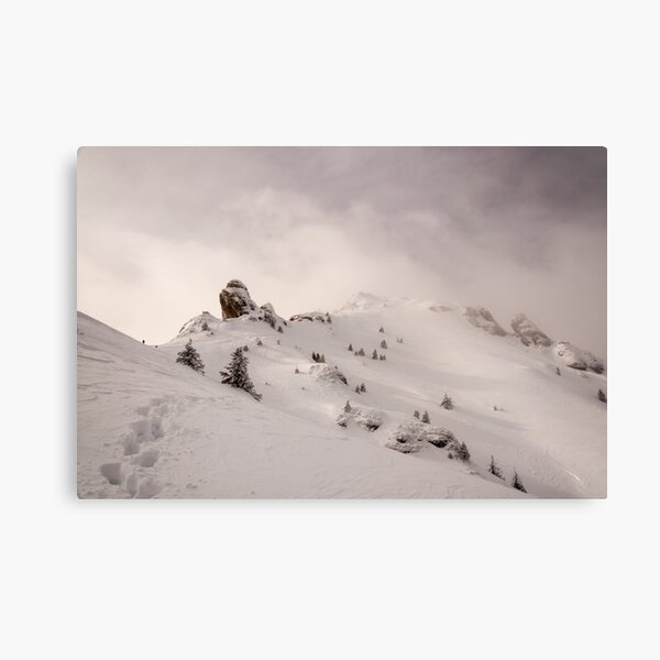 The Trek Canvas Print