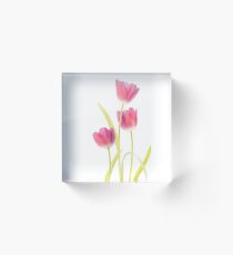 Tulips Acrylic Block