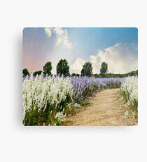 Coloured Landscape Metal Print
