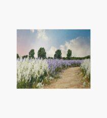 Coloured Landscape Art Board