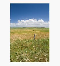Vastness Photographic Print