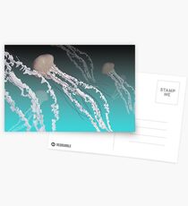 Jelly Postcards
