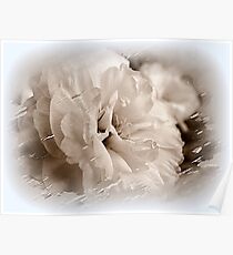 Floral Dream Poster