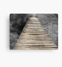 Span Metal Print