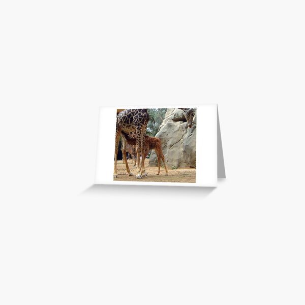 Nursing Greeting Card