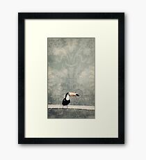 bohemian toucan Framed Print