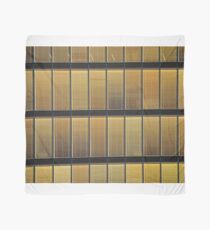 Architecture Abstract 1 Scarf