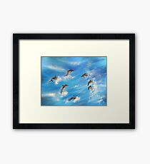 Danc'n Dolphins Framed Print