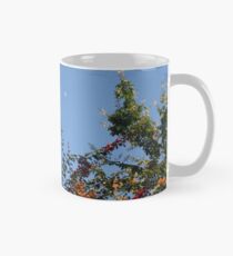 Fruitful Garden Mug