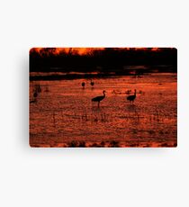 Cosumnes River Nature Preserve at Dusk Canvas Print