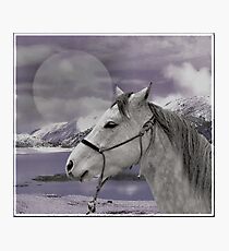 fantacy Photographic Print