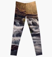 Fingle Cascades Leggings