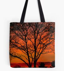 Hermitage Silouettes Tote Bag
