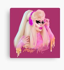TM AS3 Canvas Print