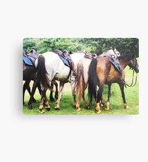 Horse's Metal Print