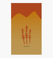 Arrakis Spice - Red Photographic Print