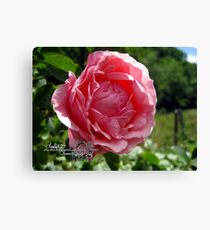 eyes wide shut Canvas Print