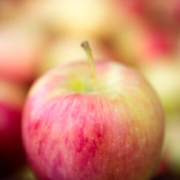 Organic Ambrosia Apples