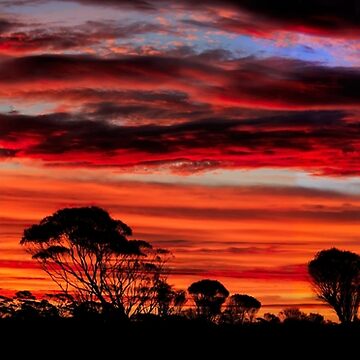 Artwork thumbnail, Australian Outback Sunset Photo by Truthseekmedia