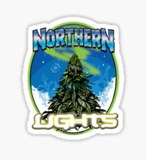 Northren Lights Sticker