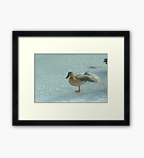 011209-92 EVERYONE'S A COMEDIAN Framed Print