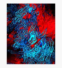 spider drugs Photographic Print