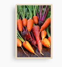 Harvest Organic Vegetables Canvas Print