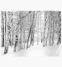 Birchwood Poster