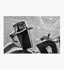 The Dude Photographic Print