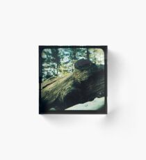 Ttv: Fallen Acrylic Block