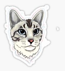 Lynxpoint Siamese cat portrait Sticker