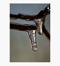 Drops Photographic Print