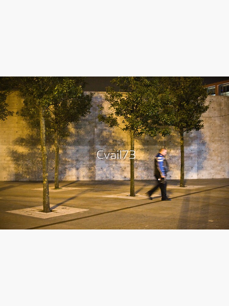 Biker in an urban jungle by Cvail73