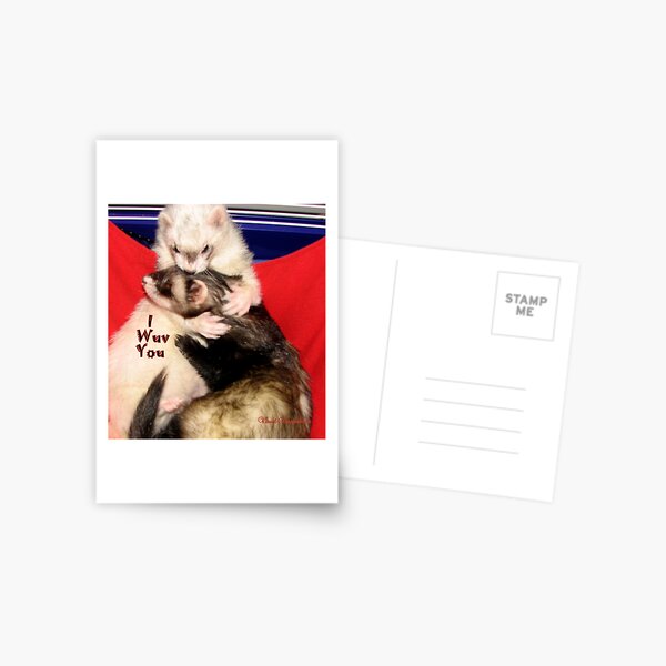 I WUV YOU Postcard