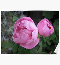 Constance Spry Poster