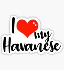 I Love My Havanese Sticker