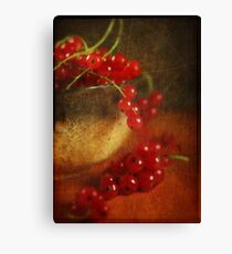 Red Currant Canvas Print