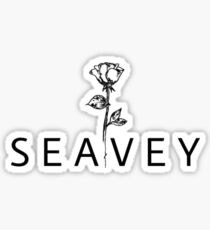 WHY don’t we - Daniel seavey Sticker