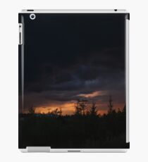 Gale iPad Case/Skin