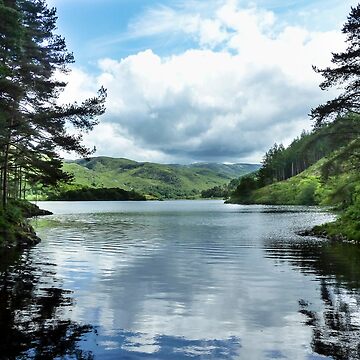 Artwork thumbnail, Loch Trool in Galloway Forest Park, Scotland by davecurrie