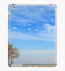 Horizon iPad Case/Skin