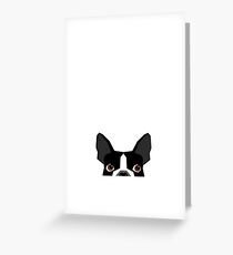 Boston Terrier head peeking cute dog gifts funny must haves boston terriers Greeting Card