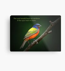 The soul would have no rainbow . . . Metal Print