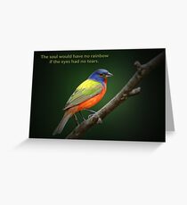 The soul would have no rainbow . . . Greeting Card