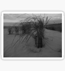 Dune Grass Sticker