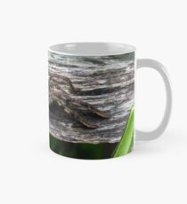 Huntsmen Spider Mug
